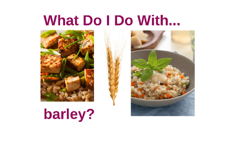What Do I Do With Barley