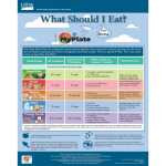 What Should I Eat? MyPlate for Moms Poster