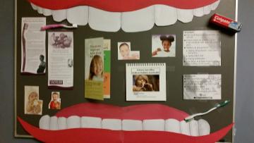 teeth, dental hygiene, bulletin board