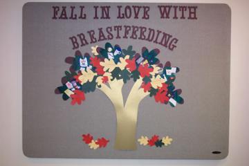 breastfeeding, bulletin board, fall theme