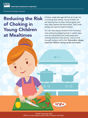 image of Reducing Choking Risk in Children FNS tip sheet