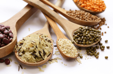 Vegetable protein sources including rice, beans, and lentils