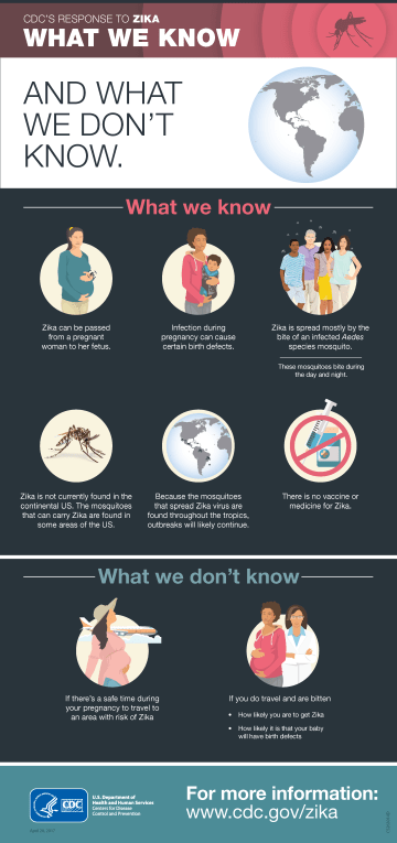 what we know infographic